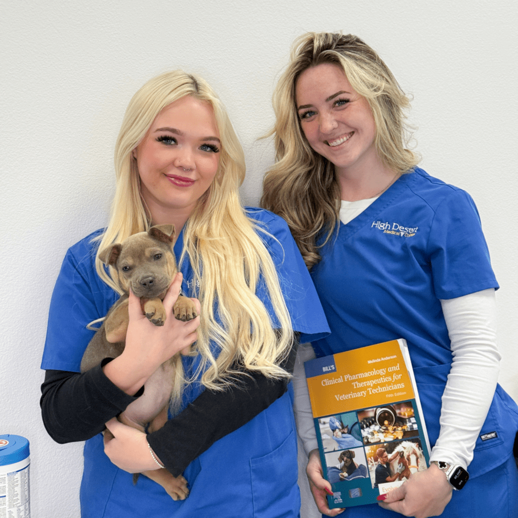 Veterinary Assistant