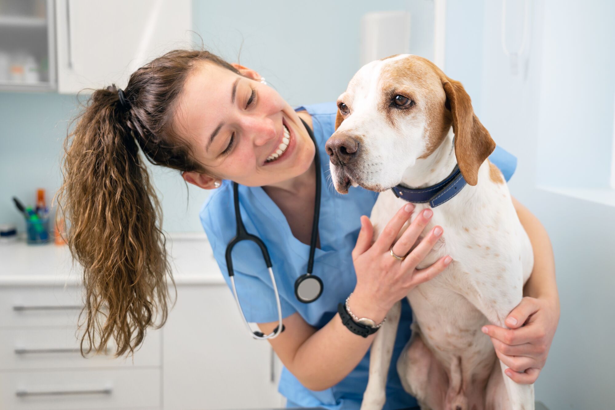 Come to High Desert Medical College for Your Veterinary Assistant Training!