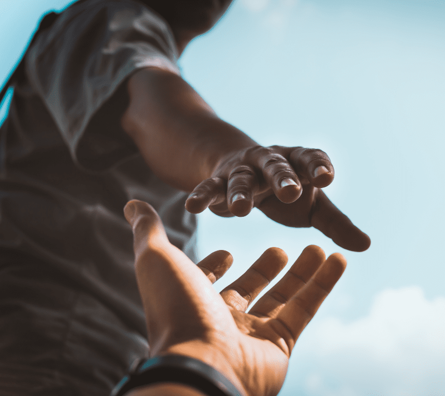 volunteer opportunities