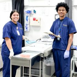 HDMC TEM Medical Assisting-2 HDMC TEM Medical Assisting-2