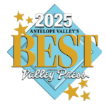 2025 av best