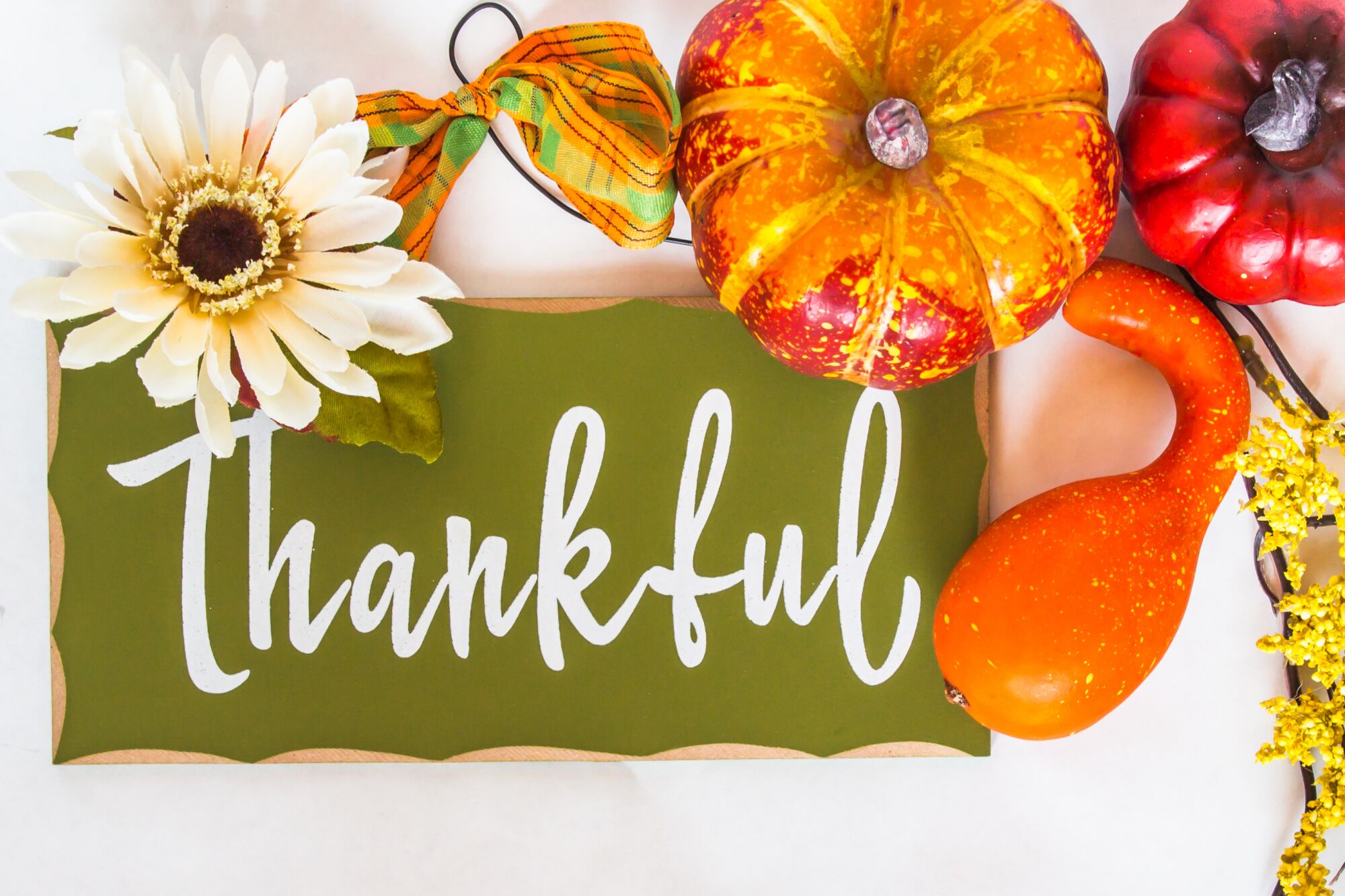 ‘Tis the Season to Give Thanks!