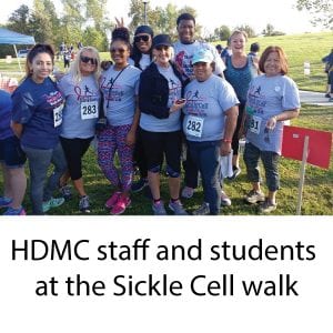 HDMC walk-01